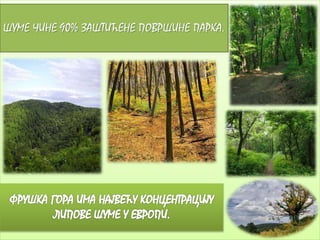 ШУМЕ ЧИНЕ 90% ЗАШТИЋЕНЕ ПОВРШИНЕ ПАРКА. 
 