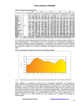 Frutas Exóticas FRUMAD
Tabla 1. Producción nacional de lulo
2004

2005

2006

2007

2008

DEPARTAMENTO CULTIVO Área Produc. Rend Área Produc. Rend Área Produc. Rend Área Produc. Rend Área Produc. Rend
(ha)
(t)
(Kgha) (ha)
(t)
(Kgha) (ha)
(t)
(Kgha) (ha)
(t)
(Kgha) (ha)
(t) (Kgha)
Antioquia
Bolívar
Boyacá
Caldas
Caquetá
Casanare
Cauca
Cesar
Chocó
Cundinamarca
La Guajira
Huila
Magdalena
Meta
Nariño
Norte Santander
Putumayo
Quindio
Risaralda
Santander
Tolima
Valle del Cauca
TOTAL
Fuente:

150
42
415
123

LULO

LULO

1.349
168
3.907
1.131

8.993
4.000
9.422
9.195

44
30
545
117

364
90
4.382
1.138

8.212
3.000
8.040
9.726

46
27
628
134

415
90
5.410
1.328

9.022
3.333
8.615
9.910

47

364

7.745

37

418 11.297

703
200

5.791
1.905

8.238
9.525

461
190

3.494 7.579
1.853 9.753

18
276 15.333
18
276 15.333
23
351 15.261
289 2.039 7.054 160 1.460 9.150
38
210 5.526 398 3.032 7.618 476 3.544 7.445
354 2.268 6.407 399 2.813 7.050 347 2.146 6.184 270 1.727 6.396 236 1.438 6.093
3
35 14.000
3
35 11.667
13
158 12.154
13
158 12.154
17
203 11.941
331 3.171 9.580 308 2.884 9.364 329 3.083 9.371 296 2.685 9.071
87
990 11.379
54
351 6.500
60
420 7.000
76
531 6.987
62
424 6.839
56
380 6.786
1.280 10.882 8.502 1.273 11.021 8.658 2.111 16.982 8.045 1.476 12.224 8.282 1.470 11.306 7.691
255 1.275 5.000 260 1.300 5.000 268 1.868 6.970 278 1.938 6.971 303 2.134 7.043
115
811 7.048
86
493 5.733
86
493 5.733 109
649 5.954
50
361 7.220
439 3.016 6.875 526 3.436 6.532 484 2.850 5.888 456 2.608 5.719 420 2.331 5.550
42
243 5.860 149
916 6.148 124
746 6.016 209 1.422 6.804 226 1.601 7.084
3
7 2.333
3
7 2.333 173 1.530 8.844 190
950 5.000
4
20 5.000
46
230 5.000
94
464 4.936
95
469 4.937
86
426 4.970
76
313 4.118
79
690 8.734 156 1.437 9.212 192 1.661 8.651 185 2.883 15.584 193 2.123 11.000
10
120 12.000
10
120 12.000
86 1.284 14.930 202 4.105 20.322
268 2.269 8.467 297 2.518 8.477 349 3.081 8.839 201 1.746 8.693 211 2.819 13.360
767 5.499 7.169 862 6.020 6.984 999 7.753 7.761 990 7.608 7.685 893 6.673 7.473
5.053 39.341 7.785 5.382 41.317 7.677 6.547 51.200 7.821 6.273 50.100 7.987 5.631 46.457 8.250

Ministerio de Agricultura y Desarrollo Rural, Secretarías de Agricultura Departamentales, URPA - UMATA. ISBN No. 978-958-8536-11-8

La cosecha de Lulo es particularmente difícil, debido a las espinas y pelusa que tiene el árbol y la
fruta respectivamente. Para llevarla a cabo es necesario usar herramientas especiales y
elementos de protección para los trabajadores. La conservación de la calidad de la fruta depende
de un adecuado manejo durante la postcosecha y el transporte a los centros de acopio. La época
de cosecha se muestra en la “Figura 2. Calendario de cosechas de lulo enero a diciembre de
2008”.
Figura 2. Calendario de cosechas de lulo enero a diciembre de 2008

Fuente:

Ministerio de Agricultura y Desarrollo Rural, Secretarías de Agricultura Departamentales, URPA - UMATA. ISBN No. 978-958-8536-11-8

1.3.2 Uchuva. La variedad de uchuva que se comercializa actualmente en Colombia es
originaria de los Andes Suramericanos específicamente de Perú, pertenece a la especie Physalis
peruviana L. y se caracteriza por tener altos contenidos de vitamina A y C, hierro y fósforo. En
Colombia se empezó a conocer como cultivo comercial desde la década de los ochenta cuando
este producto comenzó a tener acogida en los mercados internacionales. Actualmente Colombia
es el mayor productor de uchuva en el mundo, seguido por Sudáfrica. El fruto de la Uchuva es una
baya carnosa en forma de globo, con un diámetro entre 1,25 y 2,5 cm y con un peso entre 4 y 10
gramos, cubierto con un cáliz formado por cinco sépalos que lo protege contra plagas y
enfermedades.
Alexis Meneses Arévalo

alexismeneses@dalcame.com

19

 