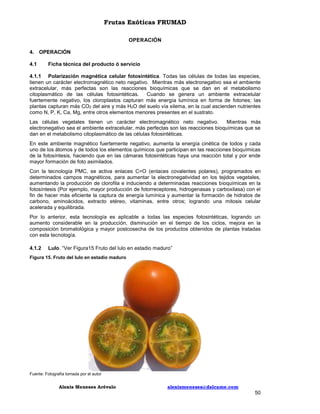 Frutas Exóticas FRUMAD
OPERACIÓN
4. OPERACIÓN
4.1

Ficha técnica del producto ó servicio

4.1.1 Polarización magnética celular fotosintética. Todas las células de todas las especies,
tienen un carácter electromagnético neto negativo. Mientras más electronegativo sea el ambiente
extracelular, más perfectas son las reacciones bioquímicas que se dan en el metabolismo
citoplasmático de las células fotosintéticas.
Cuando se genera un ambiente extracelular
fuertemente negativo, los cloroplastos capturan más energía lumínica en forma de fotones; las
plantas capturan más CO2 del aire y más H2O del suelo vía xilema, en la cual ascienden nutrientes
como N, P, K, Ca, Mg, entre otros elementos menores presentes en el sustrato.
Las células vegetales tienen un carácter electromagnético neto negativo.
Mientras más
electronegativo sea el ambiente extracelular, más perfectas son las reacciones bioquímicas que se
dan en el metabolismo citoplasmático de las células fotosintéticas.
En este ambiente magnético fuertemente negativo, aumenta la energía cinética de todos y cada
uno de los átomos y de todos los elementos químicos que participan en las reacciones bioquímicas
de la fotosíntesis, haciendo que en las cámaras fotosintéticas haya una reacción total y por ende
mayor formación de foto asimilados.
Con la tecnología PMC, se activa enlaces C=O (enlaces covalentes polares), programados en
determinados campos magnéticos, para aumentar la electronegatividad en los tejidos vegetales,
aumentando la producción de clorofila e induciendo a determinadas reacciones bioquímicas en la
fotosíntesis (Por ejemplo, mayor producción de fotorreceptores, hidrogenasas y carboxilasa) con el
fin de hacer más eficiente la captura de energía lumínica y aumentar la formación de hidratos de
carbono, aminoácidos, extracto etéreo, vitaminas, entre otros; logrando una mitosis celular
acelerada y equilibrada.
Por lo anterior, esta tecnología es aplicable a todas las especies fotosintéticas, logrando un
aumento considerable en la producción, disminución en el tiempo de los ciclos, mejora en la
composición bromatológica y mayor postcosecha de los productos obtenidos de plantas tratadas
con esta tecnología.
4.1.2

Lulo. “Ver Figura15 Fruto del lulo en estadio maduro”

Figura 15. Fruto del lulo en estadio maduro

Fuente: Fotografía tomada por el autor

Alexis Meneses Arévalo

alexismeneses@dalcame.com

50

 