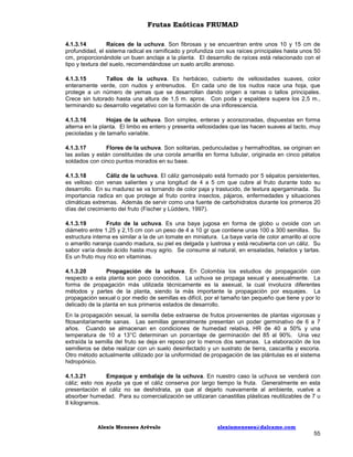 Frutas Exóticas FRUMAD
4.1.3.14
Raíces de la uchuva. Son fibrosas y se encuentran entre unos 10 y 15 cm de
profundidad, el sistema radical es ramificado y profundiza con sus raíces principales hasta unos 50
cm, proporcionándole un buen anclaje a la planta. El desarrollo de raíces está relacionado con el
tipo y textura del suelo, recomendándose un suelo arcillo arenoso.
4.1.3.15
Tallos de la uchuva. Es herbáceo, cubierto de vellosidades suaves, color
enteramente verde, con nudos y entrenudos. En cada uno de los nudos nace una hoja, que
protege a un número de yemas que se desarrollan dando origen a ramas o tallos principales.
Crece sin tutorado hasta una altura de 1,5 m. aprox. Con poda y espaldera supera los 2,5 m.,
terminando su desarrollo vegetativo con la formación de una inflorescencia.
4.1.3.16
Hojas de la uchuva. Son simples, enteras y acorazonadas, dispuestas en forma
alterna en la planta. El limbo es entero y presenta vellosidades que las hacen suaves al tacto, muy
pecioladas y de tamaño variable.
4.1.3.17
Flores de la uchuva. Son solitarias, pedunculadas y hermafroditas, se originan en
las axilas y están constituidas de una corola amarilla en forma tubular, originada en cinco pétalos
soldados con cinco puntos morados en su base.
4.1.3.18
Cáliz de la uchuva. El cáliz gamosépalo está formado por 5 sépalos persistentes,
es velloso con venas salientes y una longitud de 4 a 5 cm que cubre al fruto durante todo su
desarrollo. En su madurez se va tornando de color paja y traslucido, de textura apergaminada. Su
importancia radica en que protege al fruto contra insectos, pájaros, enfermedades y situaciones
climáticas extremas. Además de servir como una fuente de carbohidratos durante los primeros 20
días del crecimiento del fruto (Fischer y Lüdders, 1997).
4.1.3.19
Fruto de la uchuva. Es una baya jugosa en forma de globo u ovoide con un
diámetro entre 1,25 y 2,15 cm con un peso de 4 a 10 gr que contiene unas 100 a 300 semillas. Su
estructura interna es similar a la de un tomate en miniatura. La baya varía de color amarillo al ocre
o amarillo naranja cuando madura, su piel es delgada y lustrosa y está recubierta con un cáliz. Su
sabor varía desde ácido hasta muy agrio. Se consume al natural, en ensaladas, helados y tartas.
Es un fruto muy rico en vitaminas.
4.1.3.20
Propagación de la uchuva. En Colombia los estudios de propagación con
respecto a esta planta son poco conocidos. La uchuva se propaga sexual y asexualmente. La
forma de propagación más utilizada técnicamente es la asexual, la cual involucra diferentes
métodos y partes de la planta, siendo la más importante la propagación por esquejes. La
propagación sexual o por medio de semillas es difícil, por el tamaño tan pequeño que tiene y por lo
delicado de la planta en sus primeros estados de desarrollo.
En la propagación sexual, la semilla debe extraerse de frutos provenientes de plantas vigorosas y
fitosanitariamente sanas. Las semillas generalmente presentan un poder germinativo de 6 a 7
años. Cuando se almacenan en condiciones de humedad relativa, HR de 40 a 50% y una
temperatura de 10 a 13°C determinan un porcentaje de germinación del 85 al 90%. Una vez
extraída la semilla del fruto se deja en reposo por lo menos dos semanas. La elaboración de los
semilleros se debe realizar con un suelo desinfectado y un sustrato de tierra, cascarilla y escoria.
Otro método actualmente utilizado por la uniformidad de propagación de las plántulas es el sistema
hidropónico.
4.1.3.21
Empaque y embalaje de la uchuva. En nuestro caso la uchuva se venderá con
cáliz; esto nos ayuda ya que el cáliz conserva por largo tiempo la fruta. Generalmente en esta
presentación el cáliz no se deshidrata, ya que al dejarlo nuevamente al ambiente, vuelve a
absorber humedad. Para su comercialización se utilizaran canastillas plásticas reutilizables de 7 u
8 kilogramos.

Alexis Meneses Arévalo

alexismeneses@dalcame.com

55

 