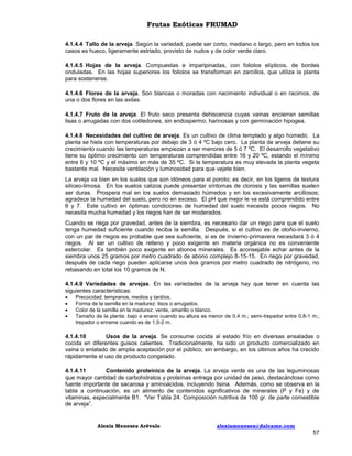 Frutas Exóticas FRUMAD
4.1.4.4 Tallo de la arveja. Según la variedad, puede ser corto, mediano o largo, pero en todos los
casos es hueco, ligeramente estriado, provisto de nudos y de color verde claro.
4.1.4.5 Hojas de la arveja. Compuestas e imparipinadas, con foliolos elípticos, de bordes
onduladas. En las hojas superiores los foliolos se transforman en zarcillos, que utiliza la planta
para sostenerse.
4.1.4.6 Flores de la arveja. Son blancas o moradas con nacimiento individual o en racimos, de
una o dos flores en las axilas.
4.1.4.7 Fruto de la arveja. El fruto seco presenta dehiscencia cuyas vainas encierran semillas
lisas o arrugadas con dos cotiledones, sin endospermo, harinosas y con germinación hipogea.
4.1.4.8 Necesidades del cultivo de arveja. Es un cultivo de clima templado y algo húmedo. La
planta se hiela con temperaturas por debajo de 3 ó 4 ºC bajo cero. La planta de arveja detiene su
crecimiento cuando las temperaturas empiezan a ser menores de 5 ó 7 ºC. El desarrollo vegetativo
tiene su óptimo crecimiento con temperaturas comprendidas entre 16 y 20 ºC, estando el mínimo
entre 6 y 10 ºC y el máximo en más de 35 ºC. Si la temperatura es muy elevada la planta vegeta
bastante mal. Necesita ventilación y luminosidad para que vejete bien.
La arveja va bien en los suelos que son idóneos para el poroto; es decir, en los ligeros de textura
silíceo-limosa. En los suelos calizos puede presentar síntomas de clorosis y las semillas suelen
ser duras. Prospera mal en los suelos demasiado húmedos y en los excesivamente arcillosos;
agradece la humedad del suelo, pero no en exceso. El pH que mejor le va está comprendido entre
6 y 7. Este cultivo en óptimas condiciones de humedad del suelo necesita pocos riegos. No
necesita mucha humedad y los riegos han de ser moderados.
Cuando se riega por gravedad, antes de la siembra, es necesario dar un riego para que el suelo
tenga humedad suficiente cuando reciba la semilla. Después, si el cultivo es de otoño-invierno,
con un par de riegos es probable que sea suficiente, si es de invierno-primavera necesitará 3 ó 4
riegos. Al ser un cultivo de relleno y poco exigente en materia orgánica no es conveniente
estercolar. Es también poco exigente en abonos minerales. Es aconsejable echar antes de la
siembra unos 25 gramos por metro cuadrado de abono complejo 8-15-15. En riego por gravedad,
después de cada riego pueden aplicarse unos dos gramos por metro cuadrado de nitrógeno, no
rebasando en total los 10 gramos de N.
4.1.4.9 Variedades de arvejas. En las variedades de la arveja hay que tener en cuenta las
siguientes características:





Precocidad: tempranos, medios y tardíos.
Forma de la semilla en la madurez: lisos o arrugados.
Color de la semilla en la madurez: verde, amarillo o blanco.
Tamaño de la planta: bajo o enano cuando su altura es menor de 0,4 m.; semi-trepador entre 0,8-1 m.;
trepador o enrame cuando es de 1,5-2 m.

4.1.4.10
Usos de la arveja. Se consume cocida al estado frío en diversas ensaladas o
cocida en diferentes guisos calientes. Tradicionalmente, ha sido un producto comercializado en
vaina o enlatado de amplia aceptación por el público; sin embargo, en los últimos años ha crecido
rápidamente el uso de producto congelado.
4.1.4.11
Contenido proteínico de la arveja. La arveja verde es una de las leguminosas
que mayor cantidad de carbohidratos y proteínas entrega por unidad de peso, destacándose como
fuente importante de sacarosa y aminoácidos, incluyendo lisina. Además, como se observa en la
tabla a continuación, es un alimento de contenidos significativos de minerales (P y Fe) y de
vitaminas, especialmente B1. “Ver Tabla 24. Composición nutritiva de 100 gr. de parte comestible
de arveja”.

Alexis Meneses Arévalo

alexismeneses@dalcame.com

57

 
