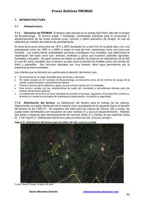 Frutas Exóticas FRUMAD
7. INFRAESTRUCTURA
7.1

Infraestructura

7.1.1 Ubicación de FRUMAD. El terreno está ubicado en la vereda San Pedro Alto del municipio
de Bucaramanga. El terreno posee 7 hectáreas, considerada suficiente para la producción y
almacenamiento de las frutas exóticas (Lulo, Uchuva y cultivo asociativo de Arveja), el cual se
obtendrá por medido del sistema de arrendamiento.
El clima de la zona varía entre los 18ºC y 28ºC templado frío y semi frío en la parte alta y con una
precipitación entre los 1800 m y 2000 m sobre el nivel del mar, ubicándose como una zona sub
húmeda. Los suelos tienen propiedades químicas y biológicas muy variables, que determinan la
clasificación del suelo como son: arenoso, arcillosos y grava que muestran aptitudes agrícolas,
forestales y de pasto. De igual manera se realizó un estudio de suelo en los laboratorios de la UIS
el cual dio como resultado que el terreno es apto para la siembra de frutales como lulo tomate de
árbol y granadilla. Sus recursos naturales son muy buenos: tiene agua permanente por la
presencia de tres humedales.
Los criterios que se tomaron en cuenta para la elección del terreno son:






Se encuentra en un lugar accesible para camiones y vehículos.
Por estar ubicado en el municipio de Bucaramanga, se encuentra cerca de los centros de acopio de la
ciudad, supermercados y almacenes de cadena.
Posee el servicio de luz eléctrica y agua, ya que la finca cuenta con 3 humedales.
Este terreno cumple con las características de suelo (ph, humedad) y atmosféricas idóneas para los
cultivos de las frutas exóticas.
La distribución de la finca se hará orientada de acuerdo al proceso, siguiendo una producción continua y
teniendo en cuenta los principios de implantación (optimización, circulación y seguridad).

7.1.2 Distribución del terreno. La distribución del terreno para el manejo de los cultivos,
básicamente va a estar distribuida de la manera como se presenta en la siguiente figura; el tamaño
del terreno es de 7.000 m2. Se requieren dos lotes para los cultivos de uchuva, lulo y arveja, los
cuales están identificados con recuadros de color naranja (1) y azul (2) respectivamente. Además
dos áreas o espacios para almacenamiento de insumos (Área 3) y manejo de las cosechas (Área
4). (“Ver Figura 21. Distribución del terreno para el cultivo de lulo, uchuva y arveja”)
Figura 21. Distribución del terreno para el cultivo de lulo, uchuva y arveja

Fuente: Mapas Google, Arreglos del autor.

Alexis Meneses Arévalo

alexismeneses@dalcame.com

82

 