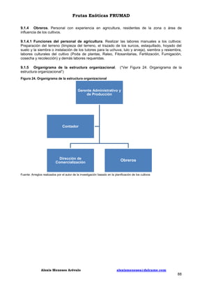 Frutas Exóticas FRUMAD
9.1.4 Obreros. Personal con experiencia en agricultura, residentes de la zona o área de
influencia de los cultivos.
9.1.4.1 Funciones del personal de agricultura. Realizar las labores manuales a los cultivos:
Preparación del terreno (limpieza del terreno, el trazado de los surcos, estaquillado, hoyado del
suelo y la siembra o instalación de los tutores para la uchuva, lulo y arveja), siembra y resiembra,
labores culturales del cultivo (Poda de plantas, Raleo, Fitosanitarias, Fertilización, Fumigación,
cosecha y recolección) y demás labores requeridas.
9.1.5 Organigrama de la estructura organizacional.
estructura organizacional”)

(“Ver Figura 24. Organigrama de la

Figura 24. Organigrama de la estructura organizacional

Gerente Administrativo y
de Producción

Contador

Dirección de
Comercialización

Obreros

Fuente: Arreglos realizados por el autor de la investigación basado en la planificación de los cultivos

Alexis Meneses Arévalo

alexismeneses@dalcame.com

88

 