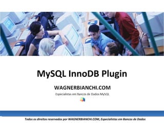 MySQL InnoDB Plugin 