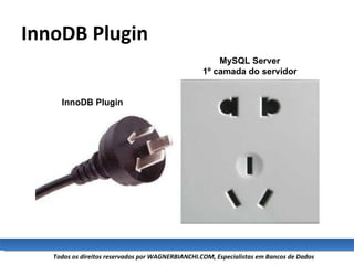 InnoDB Plugin MySQL Server 1º camada do servidor InnoDB Plugin 