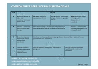 COMPONENTES GERAIS DE UM SISTEMA DE MIP
FASE OPÇÕES
A SITE: evitar árvores de
baixo vigor
considerar histórico e
plantio piloto
ESPÉCIES: uso final e
aspectos econômicos
LOCAL: Avaliar: proximidade a
antigos plantios e vegetação
natural
MANEJO: Avaliar: Mono x
heterogêneo
Enriquecimento
resistência
B Histórico e Inventário
das principais pragas e
doenças
Pesquisa bioecológica das principais pragas e doenças,
especialmente nas relações entre plantas hospedeiras
Histórico e Inventário das
principais pragas e doenças
naturais do local
C Determinar impacto
potencial da praga e
nível de dano
econômico
Monitorar os níveis populacionais da praga durante épocas críticas e relacioná-los aos
possíveis prejuízos econômicos
D Controle ecológico:
Desbaste, tratamento
no viveiro,
estabelecimento
Controle Biológico: parasitóides, predadores e
patógenos.
Controle Químico: inseticidas;
reguladores de crescimento;
feromônios.
FASES A E B: CARÁTER PREVENTIVO
FASE C: MONITORAMENTO E PREVISÃO
FASE D: ESTRATÉGIAS DE CONTROLE Speight, 1997
 