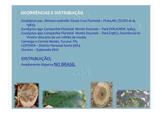 Eucalyptus spp , Mimosa scabrella: Souza Cruz Florestal – Prata,MG (SUDO et al,
1983);
Eucalyptus spp: Companhia Florestal Monte Dourado – Pará (KRUGNER, 1984),
Eucalyptus spp: Companhia Florestal Monte Dourado – Pará (1987), Ocorrência no
Viveiro: descarte de um milhão de mudas
Camargo e Correia Metais, Tucuruí- PA;
COPENER – Distrito Florestal Norte (BA);
Duratex – Esplanada (BA)
DISTRIBUIÇÃO:
Amplamente dispersa NO BRASIL
OCORRÊNCIAS E DISTRIBUIÇÃO
 