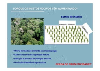 • Oferta ilimitada de alimento aos insetos-praga
• Falta de reservas de vegetação natural
• Redução acentuada de inimigos naturais
• Uso indiscriminado de agrotóxicos
Surtos de insetos
PORQUE OS INSETOS NOCIVOS VÊM AUMENTANDO?
PERDA DE PRODUTIVIDADE!!!
 