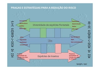 Susceptíveis
Monocultura
Exótica
Baixo vigor
pobre
degradado
inutilizável
contaminado
Grandes
quantidades de
comida e/ou sites
de alimento
Resistentes
Stand mixado
Nativa
Alto vigor
boa fertilidade
Apto
Sem contaminação
Speight, 1997
Pequenas
quantidades de
comida e/ou sites
de alimento
PRAGAS E ESTRATÉGIAS PARA A REDUÇÃO DO RISCO
 