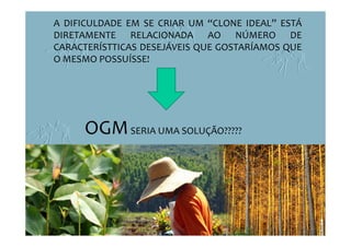 A DIFICULDADE EM SE CRIAR UM “CLONE IDEAL” ESTÁ
DIRETAMENTE RELACIONADA AO NÚMERO DE
CARACTERÍSTTICAS DESEJÁVEIS QUE GOSTARÍAMOS QUE
O MESMO POSSUÍSSE!
OGMSERIA UMA SOLUÇÃO?????
 