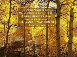 E vremea rozelor ce mor,
Mor în grădini, şi mor şi-n mine –
S-au fost atât de viaţă pline,
Şi azi se sting aşa uşor.
ALEXANDRU MACEDONSKI
Rondelul rozelor ce mor
 