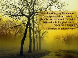 Ni se desprinde vag din amintireNi se desprinde vag din amintire
O vară prăbuşită sub castaniO vară prăbuşită sub castani
Şi-un iarmaroc romantic de potireŞi-un iarmaroc romantic de potire
Adăpostind isolde şi tristani.Adăpostind isolde şi tristani.
GEORGE ŢĂRNEAGEORGE ŢĂRNEA
Confesiuni în galben efemerConfesiuni în galben efemer
 