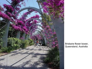 Brisbane flower bower,
Queensland, Australia
 