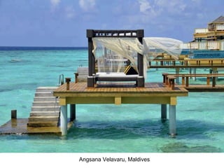 Angsana Velavaru, Maldives
 