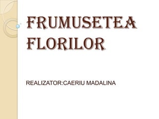 FRUMUSETEA FLORILOR REALIZATOR:CAERIU MADALINA 