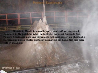 Pestera Scarisoara Situata in Muntii Apuseni la aproximativ 40 km de orasul Campeni, in NV judetului Alba, pe teritoriul comunei Garda de Sus, Pestera Scarisoara este una dintre cele mai mari pesteri cu gheata din Romania (al doilea ghetar subteran ca marime din lume. Cel mai mare este in Slovacia).   