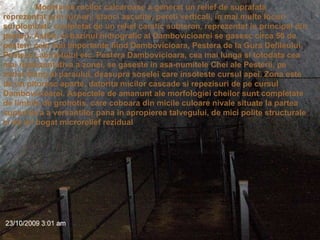 Modelarea rocilor calcaroase a generat un relief de suprafata reprezentat prin turnuri, stanci ascutite, pereti verticali, in mai multe locuri surplombati, completat de un relief carstic subteran, reprezentat in principal din pesteri. Astfel, in bazinul hidrografic al Dambovicioarei se gasesc circa 50 de pesteri, cele mai importante fiind Dambovicioara, Pestera de la Gura Defileului, Pestera Labirintului etc. Pestera Dambovicioara, cea mai lunga si totodata cea mai reprezentativa a zonei, se gaseste in asa-numitele Chei ale Pesterii, pe malul stang al paraului, deasupra soselei care insoteste cursul apei. Zona este de un pitoresc aparte, datorita micilor cascade si repezisuri de pe cursul Dambovicioarei. Aspectele de amanunt ale morfologiei cheilor sunt completate de limbile de grohotis, care coboara din micile culoare nivale situate la partea superioara a versantilor pana in apropierea talvegului, de mici polite structurale si de un bogat microrelief rezidual   