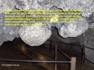 Pestera Dambovicioarei este situata in zona castica a culoarului Rucar - Bran, una din cele mai dezvoltate din tara. S-a format in calcarele de varsta jurasica ale Masivului Piatra Craiului, datorita actiunii apelor paraului Dambovicioarei, a carui vale se gaseste la cativa metri in aval. Este o pestera calda, cu 10 - 12 °C, cu o umiditate moderata si strabatuta de un usor curent de aer 