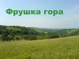 Фрушка гора
 