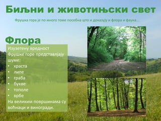 Биљни и животињски свет
Фрушка гора је по много томе посебна што и доказују и флора и фауна...
Изузетену вредност
Фрушке горе представлјају
шуме:
• храста
• липе
• граба
• букве
• тополе
• врбе
На великим површинама су
воћнаци и виногради.
Флора
 