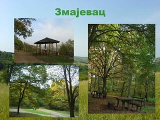 Змајевац
 