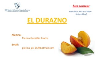 Área curricular
                                      Educación para el trabajo
                                            (informática)


              EL DURAZNO
Alumna:
          Pierina González Castro

Email:
          pierina_gc_05@hotmail.com
 