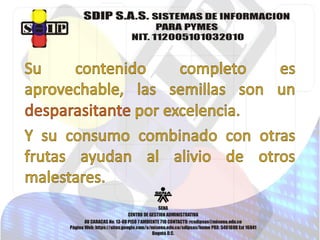 Fruta del día. papaya 