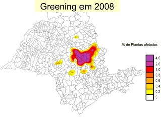 Greening em 2008
% de Plantas afetadas
 