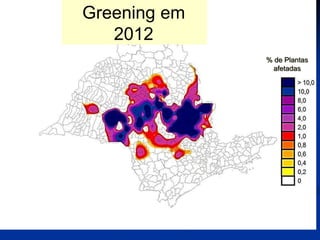 Greening em
2012
% de Plantas
afetadas
 