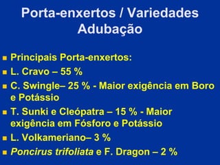 Porta-enxertos / Variedades
Adubação
 Principais Porta-enxertos:
 L. Cravo – 55 %
 C. Swingle– 25 % - Maior exigência em Boro
e Potássio
 T. Sunki e Cleópatra – 15 % - Maior
exigência em Fósforo e Potássio
 L. Volkameriano– 3 %
 Poncirus trifoliata e F. Dragon – 2 %
 