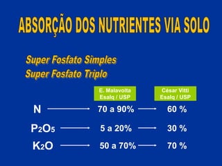 César Vitti
Esalq / USP
N 70 a 90% 60 %
P2O5 5 a 20% 30 %
K2O 50 a 70% 70 %
E. Malavolta
Esalq / USP
 