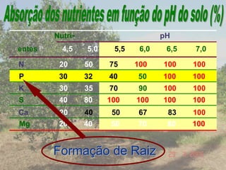 Nutri- pH
entes 4,5 5,0 5,5 6,0 6,5 7,0
Mg 20 40 50 70 80 100
N 20 50 75 100 100 100
P 30 32 40 50 100 100
K 30 35 70 90 100 100
S 40 80 100 100 100 100
Ca 20 40 50 67 83 100
Formação de Raiz
 