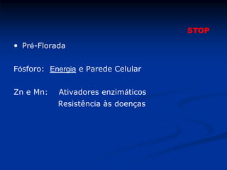  Pré-Florada
Fósforo: Energia e Parede Celular
Zn e Mn: Ativadores enzimáticos
Resistência às doenças
STOP
 