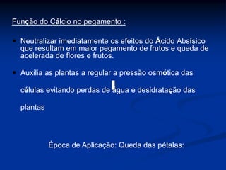 Função do Cálcio no pegamento :
 Neutralizar imediatamente os efeitos do Ácido Absísico
que resultam em maior pegamento de frutos e queda de
acelerada de flores e frutos.
 Auxilia as plantas a regular a pressão osmótica das
células evitando perdas de água e desidratação das
plantas
Época de Aplicação: Queda das pétalas:
 