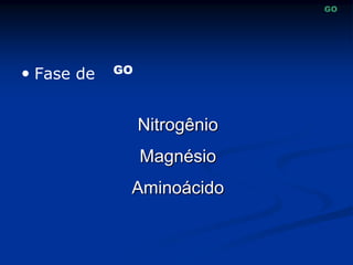  Fase de
GO
GO
Nitrogênio
Magnésio
Aminoácido
 