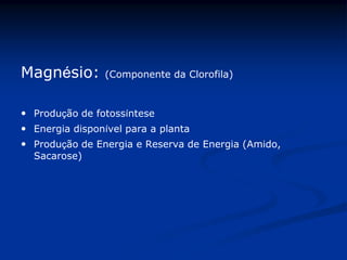 Magnésio: (Componente da Clorofila)
 Produção de fotossíntese
 Energia disponível para a planta
 Produção de Energia e Reserva de Energia (Amido,
Sacarose)
 