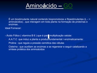 Aminoácido – GO
É um biostimulante natural contendo biopromotores e fitoestimulantes (L - ∞
aminoácidos) , que interagem em toda planta na formação de proteínas e
enzimas .
Ideal Fornecer:
- Ácido Fólico ( vitamina B 6 ) que é para multiplicação celular.
- A.A.T.C que induz a planta a produzifundamental r enzimaticamente:
Prolina : que regula a pressão osmótica das células
Cisteína : que auxiliam as enzimas a se regenerar e seguir catalizando a
síntese protéica dos aminoácidos
 