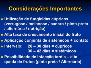 Considerações Importantes
 Utilização de fungicidas cúpricos
(verrugose / melanose / cancro / pinta-preta
/ alternária / nutrição)
 Alta taxa de crescimento inicial do fruto
 Aplicação conjunta de sistêmicos + contato
 Intervalo: 28 – 30 dias = cúpricos
30 – 42 dias = sistêmicos
 Possibilidade de infecção tardia – alta
queda de frutos (pinta preta / Alternária)
 