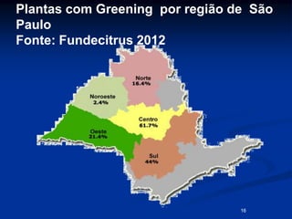 16
Plantas com Greening por região de São
Paulo
Fonte: Fundecitrus 2012
16
 