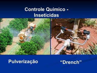 Controle Químico -
Inseticidas
Pulverização “Drench”
 