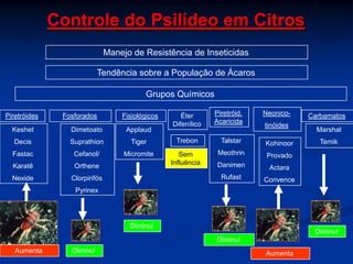 Manejo de Resistência de Inseticidas
Tendência sobre a População de Ácaros
Grupos Químicos
Piretróides
Keshet
Decis
Fastac
Karatê
Nexide
Fosforados
Dimetoato
Suprathion
Cefanol/
Orthene
Clorpirifós
Pyrinex
Éter
Difenílico
Trebon
Neonico-
tinóides
Kohinoor
Provado
Actara
Convence
Carbamatos
Marshal
Temik
AumentaDiminuiAumenta
Sem
Influência
Diminui
Fisiológicos
Applaud
Tiger
Micromite
Piretróid.
Acaricida
Talstar
Meothrin
Danimen
Rufast
Diminui
Diminui
Controle do Psilídeo em Citros
 