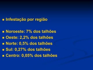  Infestação por região
 Noroeste: 7% dos talhões
 Oeste: 2,2% dos talhões
 Norte: 0,5% dos talhões
 Sul: 0,27% dos talhões
 Centro: 0,05% dos talhões
 