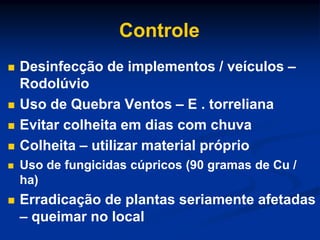 Controle
 Desinfecção de implementos / veículos –
Rodolúvio
 Uso de Quebra Ventos – E . torreliana
 Evitar colheita em dias com chuva
 Colheita – utilizar material próprio
 Uso de fungicidas cúpricos (90 gramas de Cu /
ha)
 Erradicação de plantas seriamente afetadas
– queimar no local
 