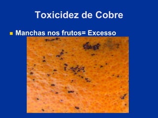 Toxicidez de Cobre
 Manchas nos frutos= Excesso
 