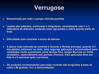 Verrugose
 Disseminada por todo o parque citrícola paulista
 Lesões são salientes, corticosas e irregulares, normalmente com 1 a 3
milímetros de diâmetro, podendo estar agrupadas e cobrir grande parte do
fruto.
 Dificuldade para controlar o ácaro da leprose
 A época mais indicada de controle é durante a florada principal, quando 2/3
das pétalas estiverem no chão. Uma segunda aplicação é recomendável para
variedades muito suscetíveis como laranja Pêra, tangor Murcote ou limão
verdadeiro, especialmente sob período chuvoso. Esta aplicação deve ser
feita 4 a 6 semanas após a primeira.
 Os produtos recomendados para esse controle são fungicidas à base de
cobre ( 90 gramas / ha ) e benzimidazóis.
 