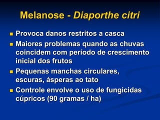 Melanose - Diaporthe citri
 Provoca danos restritos a casca
 Maiores problemas quando as chuvas
coincidem com período de crescimento
inicial dos frutos
 Pequenas manchas circulares,
escuras, ásperas ao tato
 Controle envolve o uso de fungicidas
cúpricos (90 gramas / ha)
 
