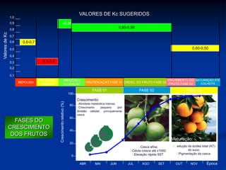 VALORES DE Kc SUGERIDOS
REPOUSO
ESTRESSE
HÍDRICO
INDUÇÃO /
FLORAÇÃO
FRUTIFICAÇÃO FASE 01
ENCHIMENTO DO
FRUTO FASE 03
MATURAÇÃO ATÉ
COLHEITA
1,0
0,9
0,8
0,7
0,6
0,5
0,4
0,3
0,2
0,1
ValoresdeKc
CRESC. DO FRUTO FASE 02
FASES DO
CRESCIMENTO
DOS FRUTOS
Aumento dos SST;
Redução da acidez total (AT)
do suco;
Pigmentação da casca.
Enchimento:
Casca afina;
Célula cresce até x1000;
Elevação rápida SST.
FASE 01
Crescimento:
Atividade metabólica intensa;
Crescimento pequeno por
divisão celular, principalmente
casca.
FASE 02 FASE 03
100
80
60
0
20
40
ABR MAI JUNABR MAI JUN JUL AGO SET OUT NOV Época
Crescimentorelativo(%)
Maturação:
0,6-0,7
0,3-0,4
>0,85
0,80-0,90
0,60-0,50
 