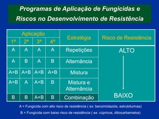 A = Fungicida com alto risco de resistência ( ex: benzimidazóis, estrubilurinas)
B = Fungicida com baixo risco de resistência ( ex: cúpricos, ditiocarbamatos)
Aplicação
Estratégia Risco de Resistência
1ª 2ª 3ª 4ª
Programas de Aplicação de Fungicidas e
Riscos no Desenvolvimento de Resistência
A A A A Repetições ALTO
A B A B Alternância
A+B A+B A+B A+B Mistura
A+B A A+B B Mistura e
Alternância
B B A+B B Combinação BAIXO
Fonte: Dekker, 1995
 