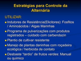 Estratégias para Controle da
Alternária
UTILIZAR:
 Indutores de Resistência(Elicitores): Fosfitos
/ Aminoácidos / Algas Marinhas
 Programa de pulverizações com produtos
registrados – cuidado com carbendazin
 Plantio de cultivar resistente
 Manejo de plantas daninhas com roçadeira
ecológica / herbicida de contato
 Desbaste “tardio” de frutos verdes: Manual
ou químico
 