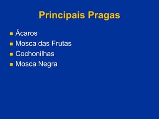 Principais Pragas
 Ácaros
 Mosca das Frutas
 Cochonilhas
 Mosca Negra
 